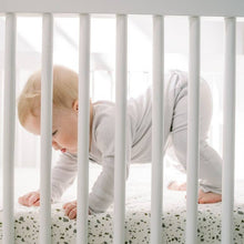 Load image into Gallery viewer, Classic Alls - Desert Mist