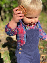 Load image into Gallery viewer, Jasper- Red/Blue Plaid Onesie
